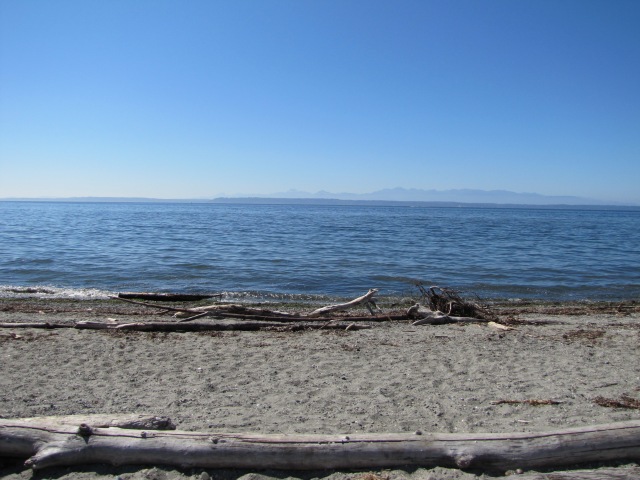 Meadowdale Beach Park, on Puget Sound