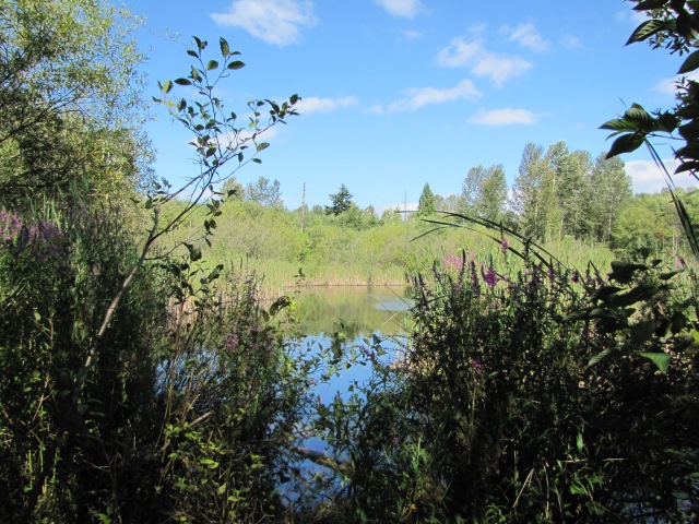 Narbeck Pond