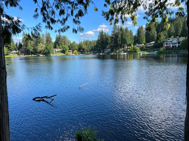 tranquil Beaver Lake