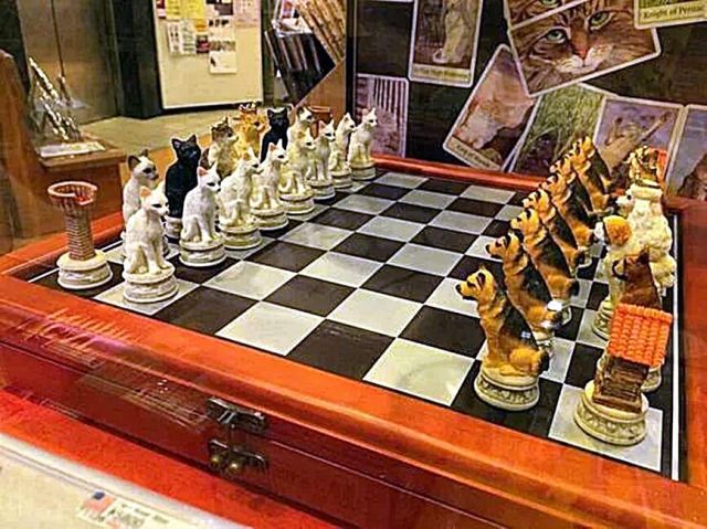 Cats vs dogs chess set